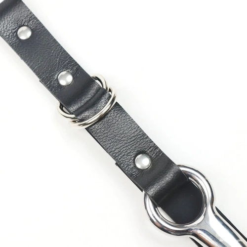 Anal Leash 5853 Kinky and Hook EverydayUse with Collar 0927